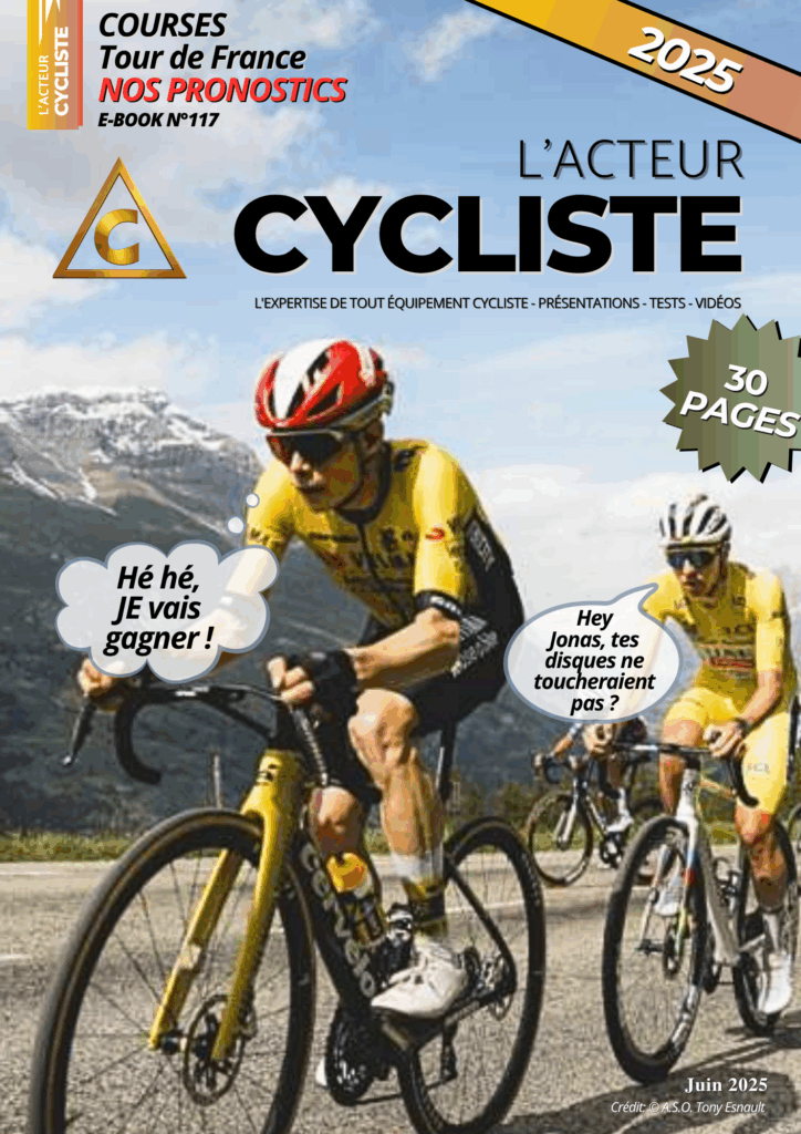 PRONOSTICS TDF 2025